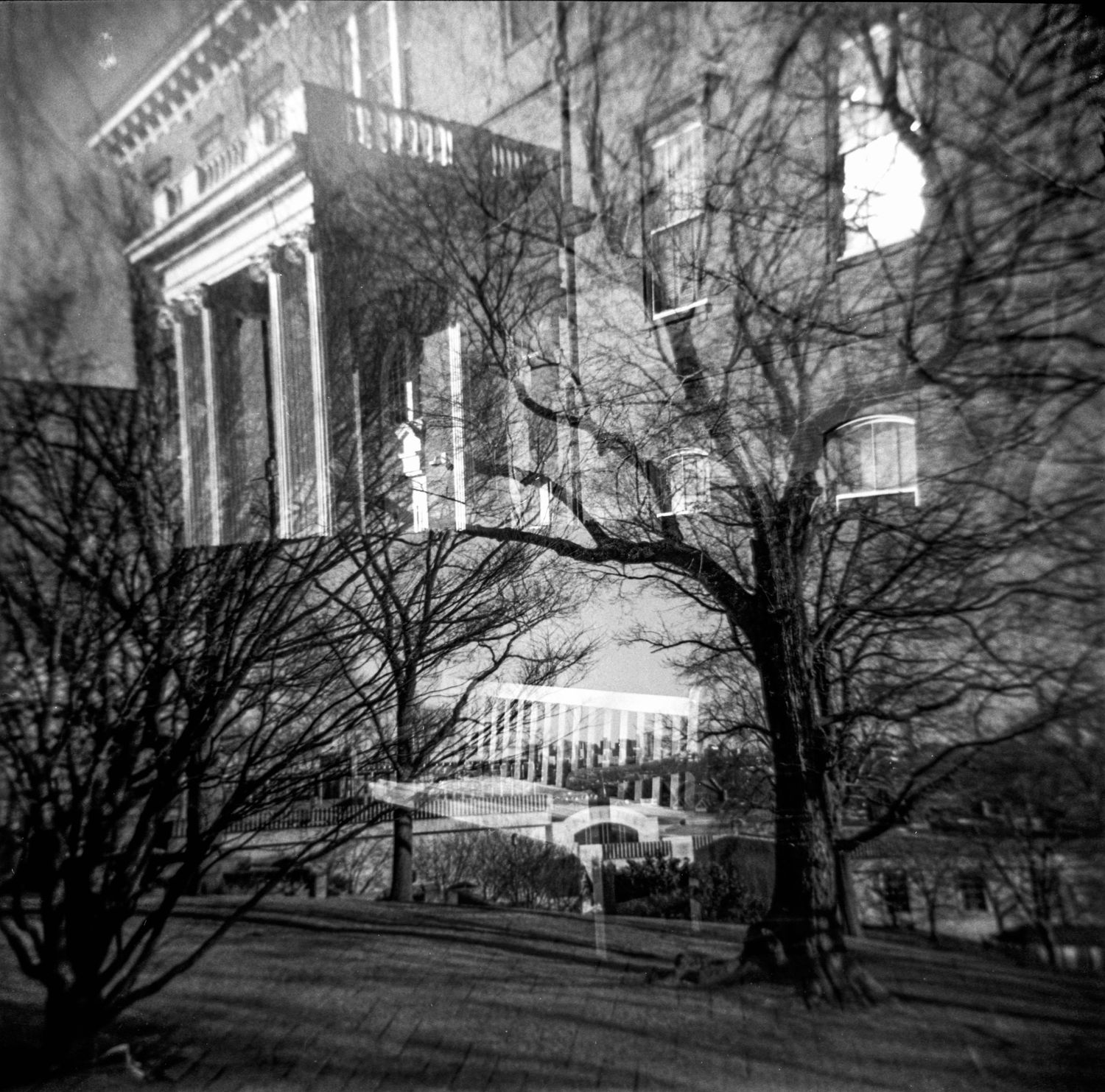 Black and white photograph showing shadows of bare tree branches cast against a classical building facade.