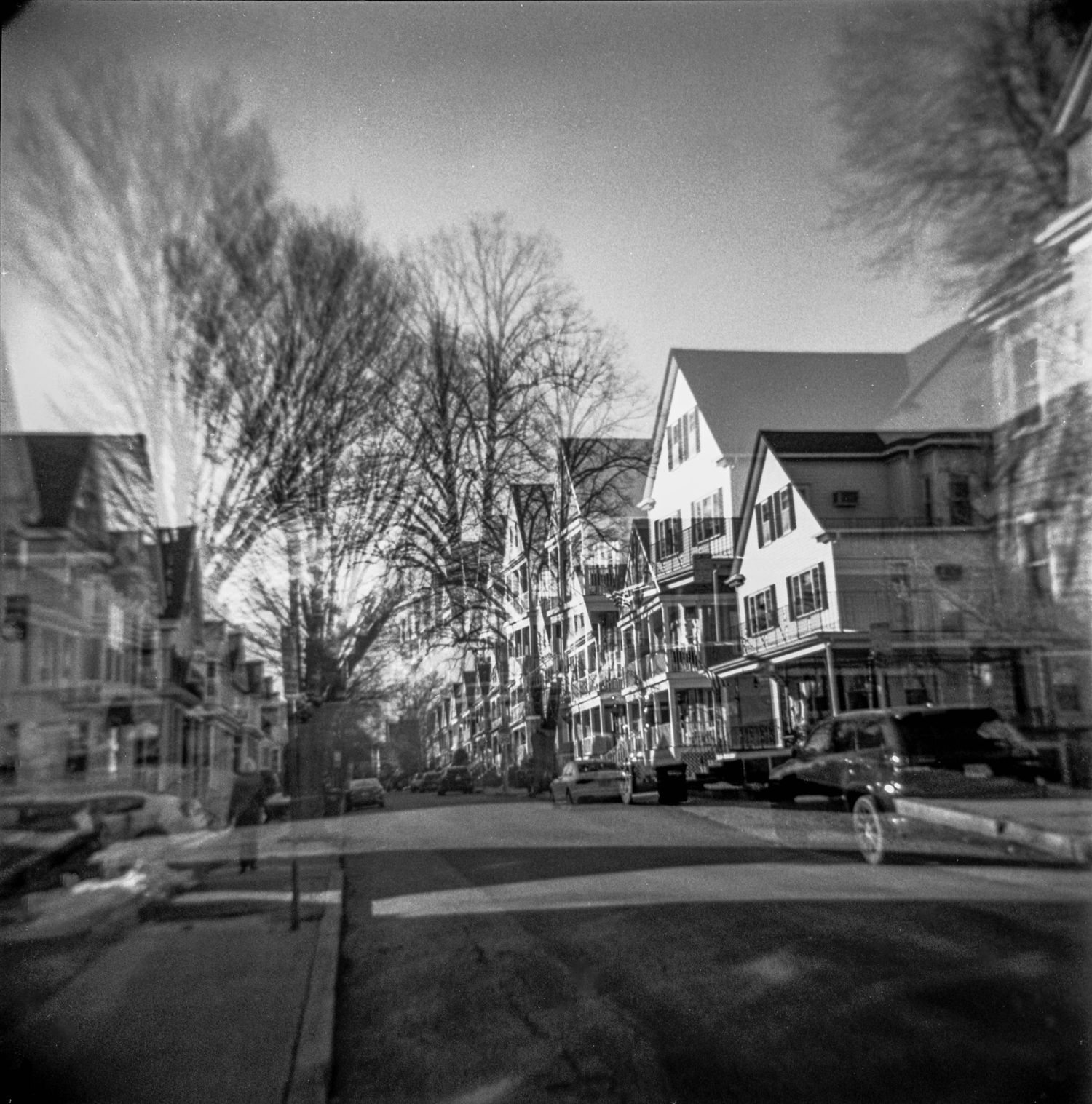 Black and white panoramic view of suburban houses along a residential street with bare trees in winter.