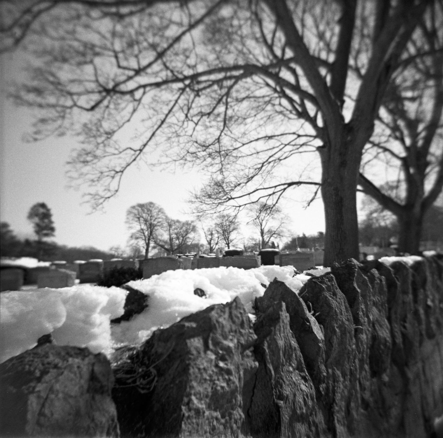 Snow-covered rock wall extends across a winter landscape with bare trees silhouetted against an overcast sky.