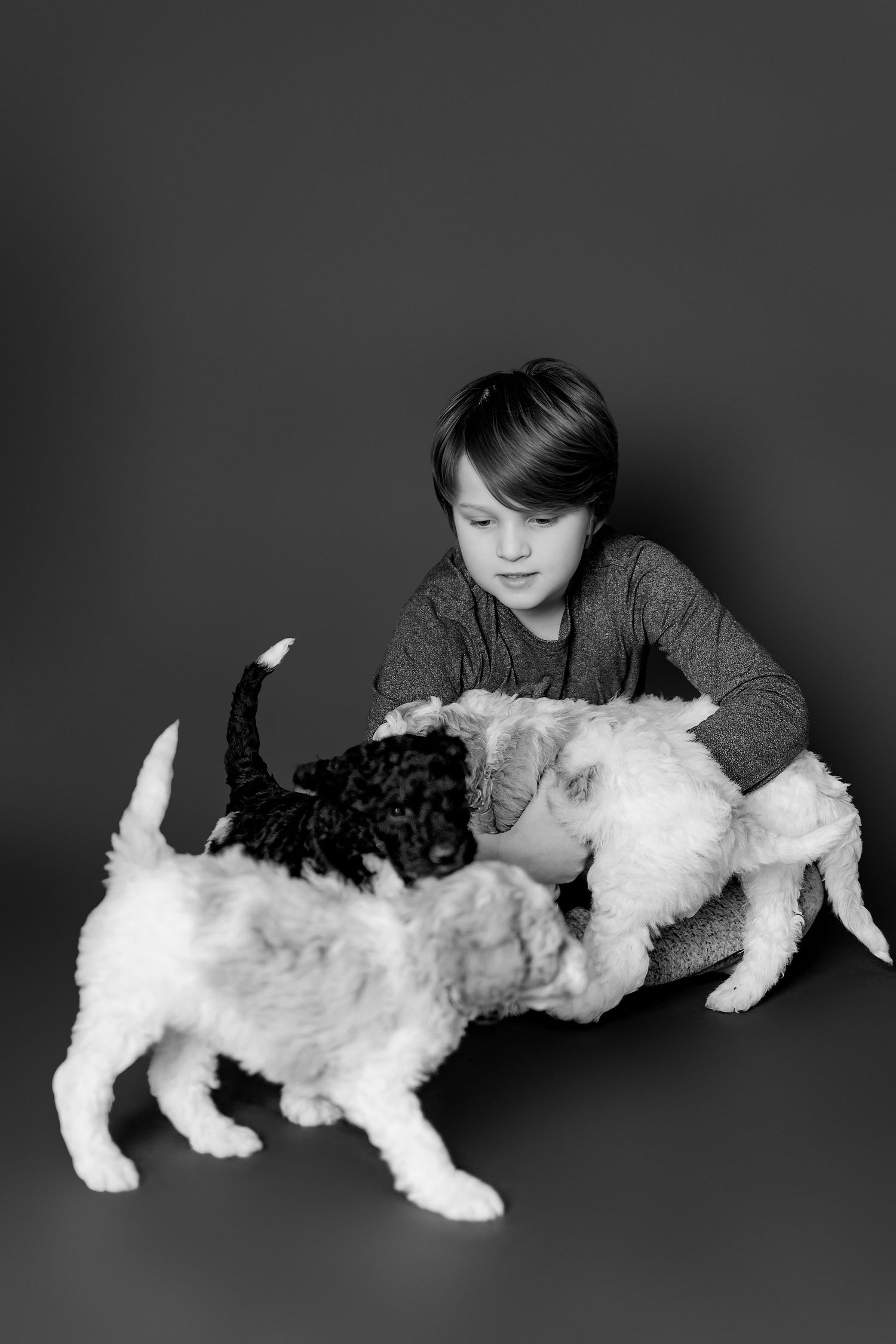 A black and white photo sequence shows a small white dog playfully interacting with someone on a dark background.