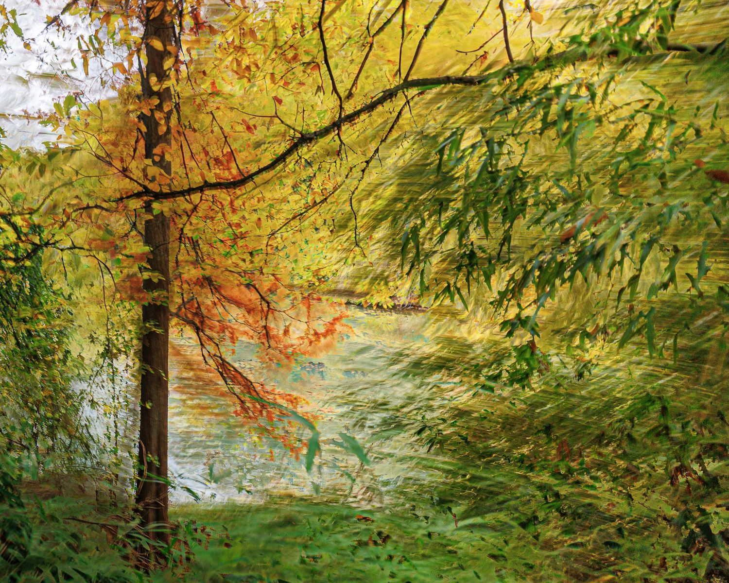 Danse avec les arbres #ICM #Pictorialisme #ExpositionsMultiples #MotionBlur