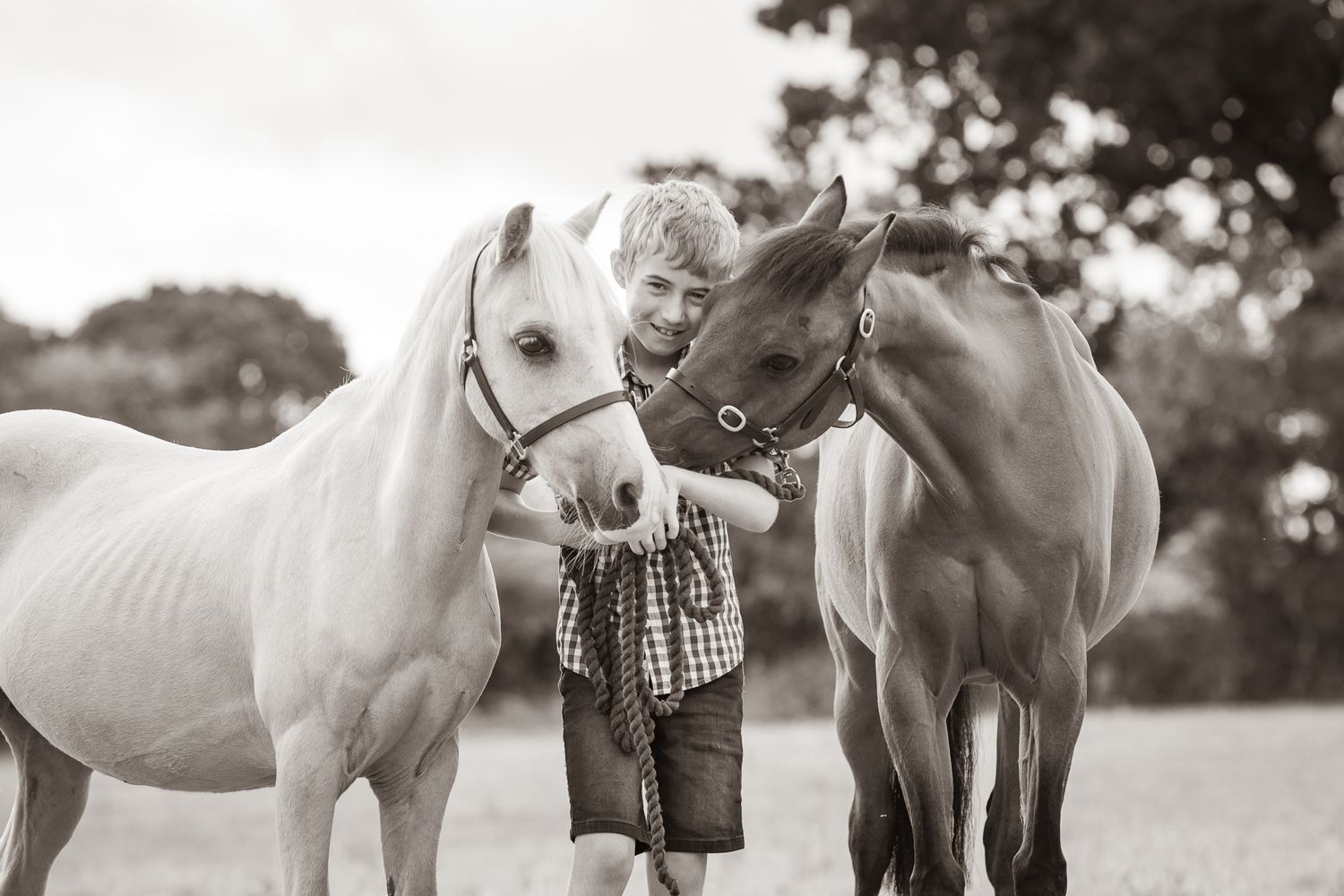 Two riders stand with their animals - a dog and a dark horse relaxing outdoors in a black and white photo.