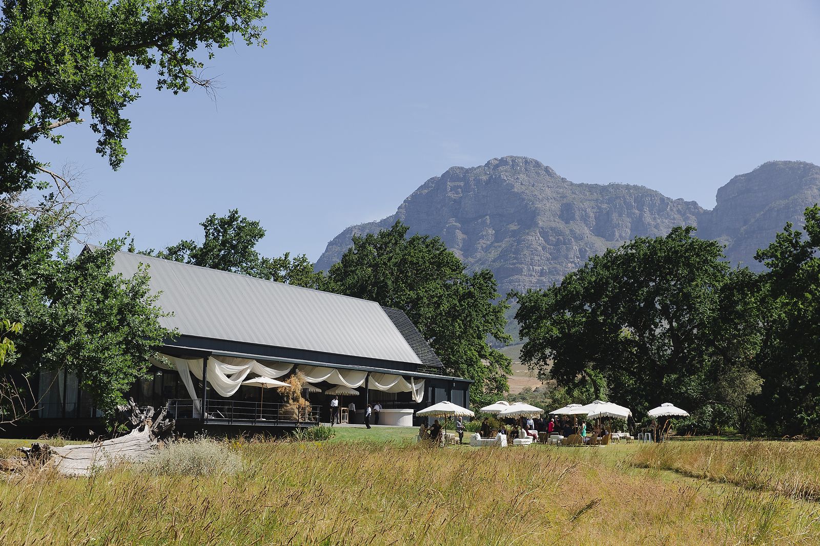 Wide landscape view of Plaisir Wine Estate in the Cape Winelands.