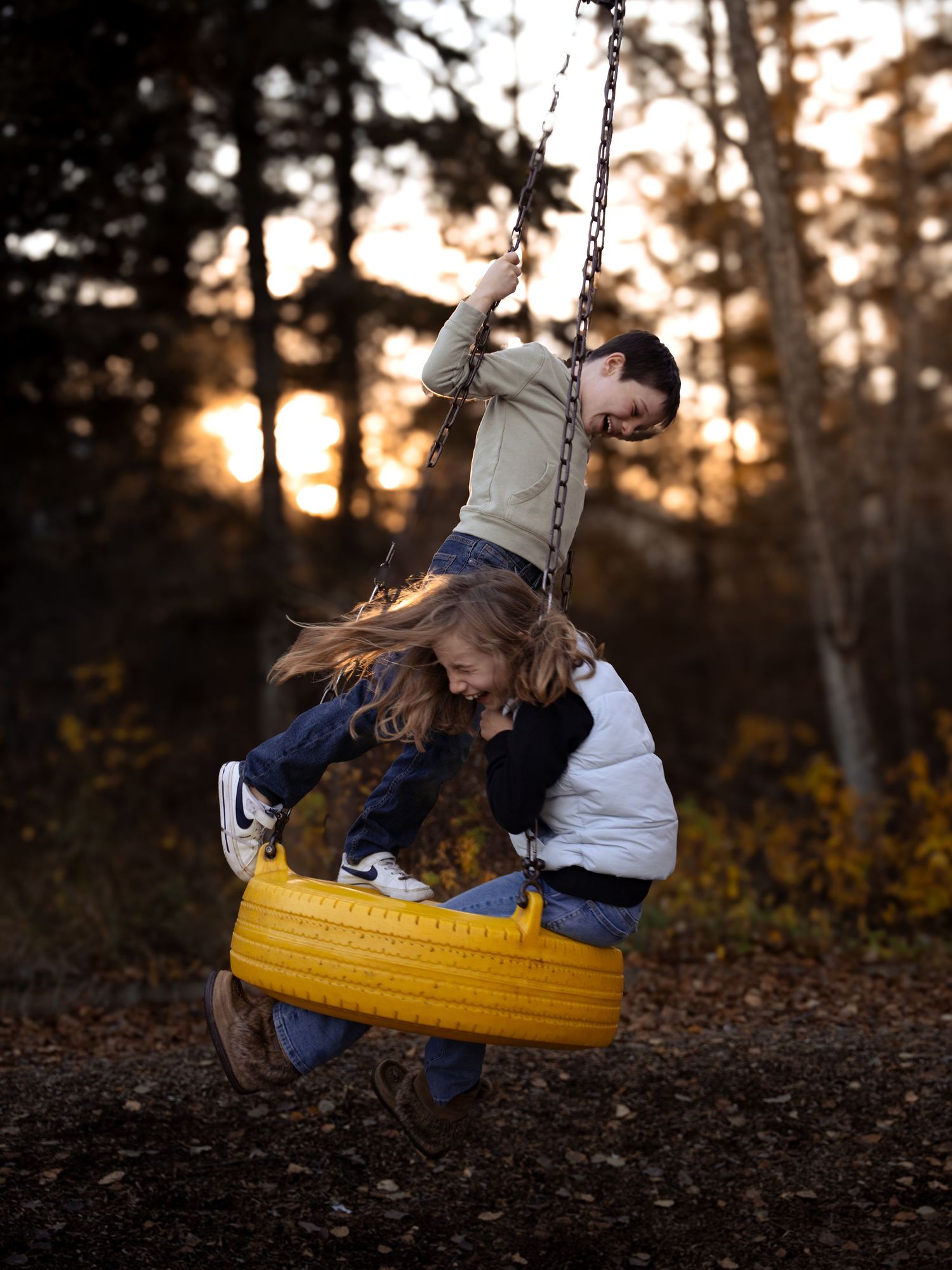 Yellow tire swing swaying in a wooded area during golden hour.