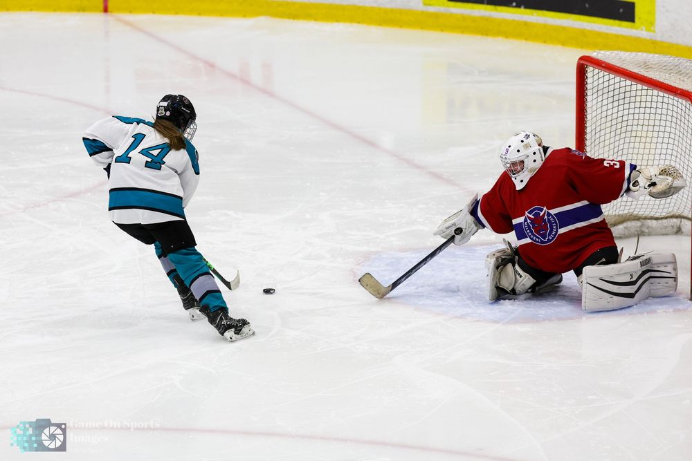 A hockey player in teal jersey dives to score a goal while a goalie in red stretches to make the save.