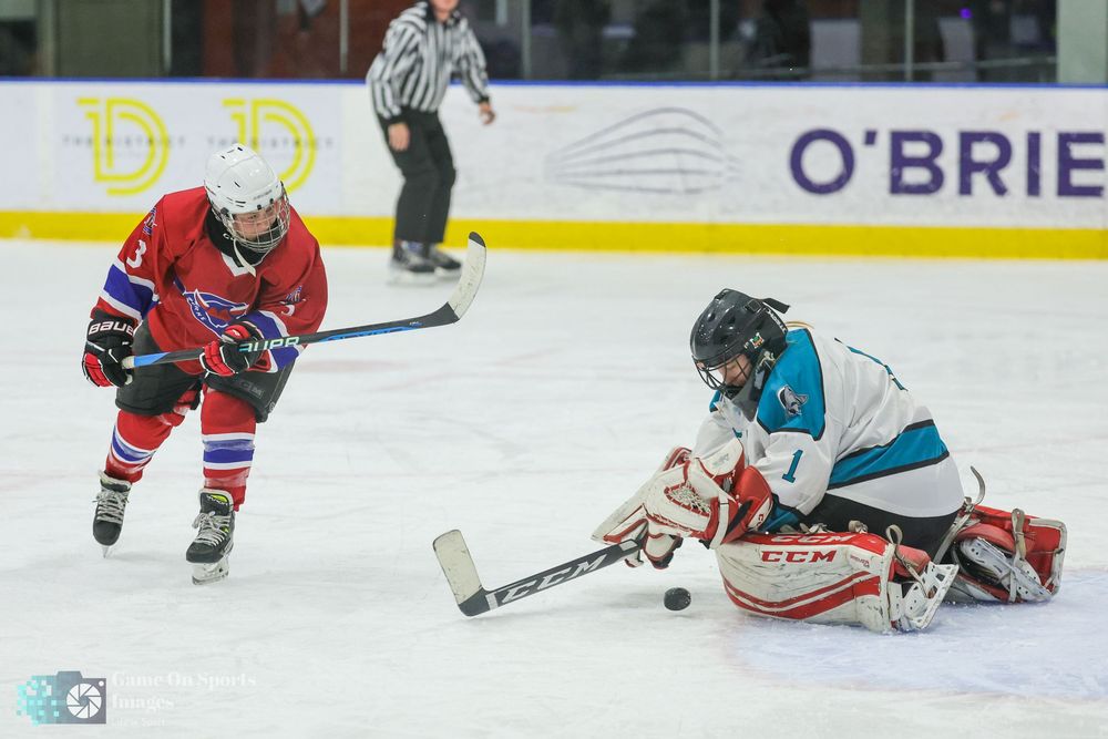 Hockey players compete for the puck during an intense game on the ice rink.