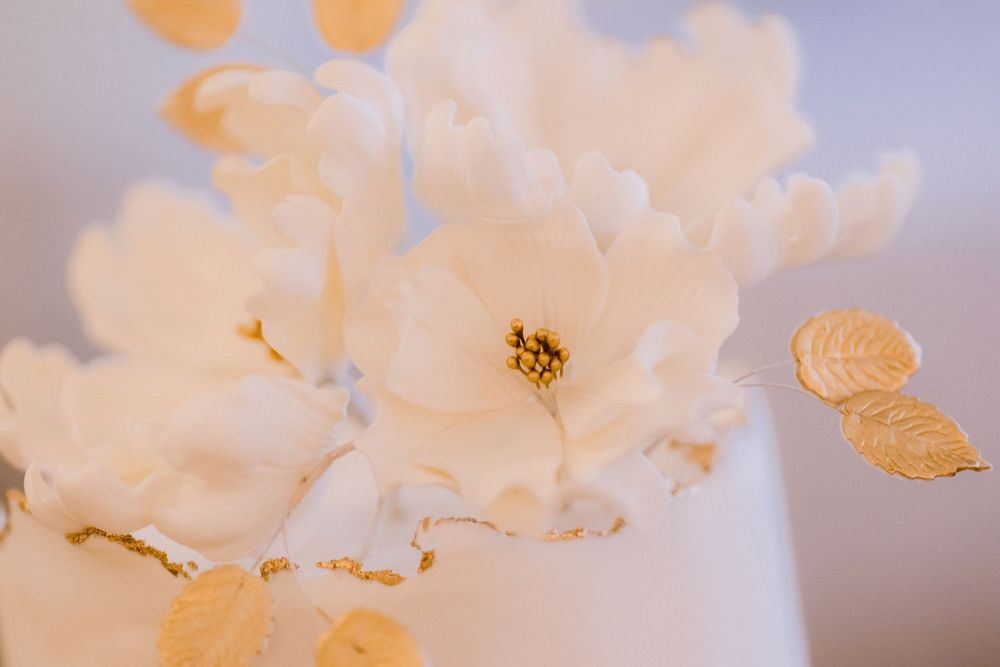 Soft-focus close-up of delicate white peony flowers with ethereal lighting.