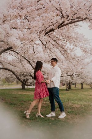 A romantic couple dances together under pink cherry blossom trees in a spring garden setting.