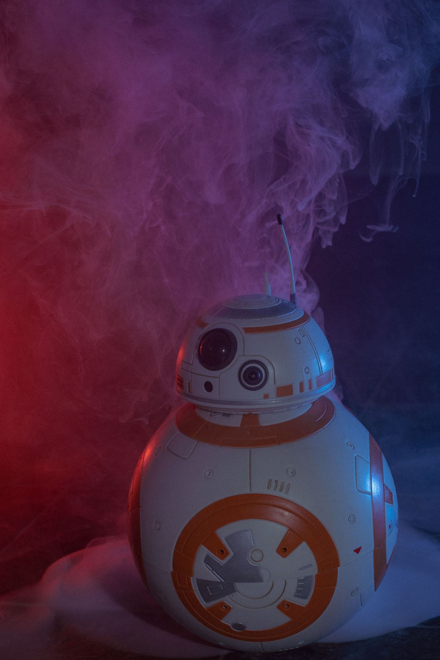 BB-8 cosplay photoshoot
Star Wars cosplay photography
droid cosplay portraits
sci-fi cosplay photoshoot