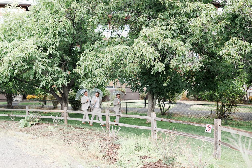 Summerland and Penticton Wedding photographer.  South Okanagan weddings.  Vineyard weddings.
