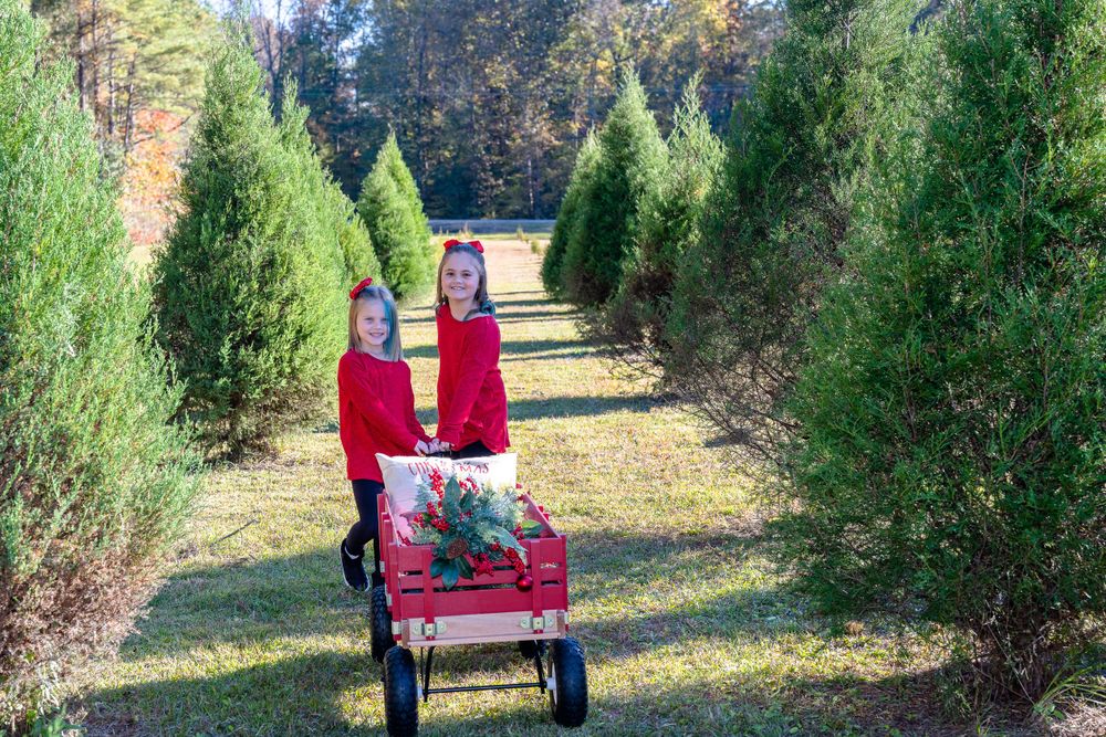 Red-clad figures walk down a path between evergreen trees pulling a wagon at a Christmas tree farm.