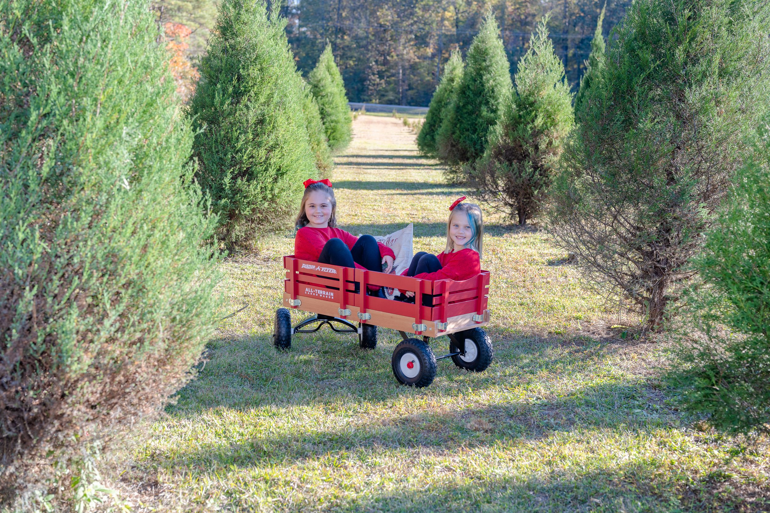 Two children riding in a red wagon between rows of evergreen trees at a Christmas tree farm.