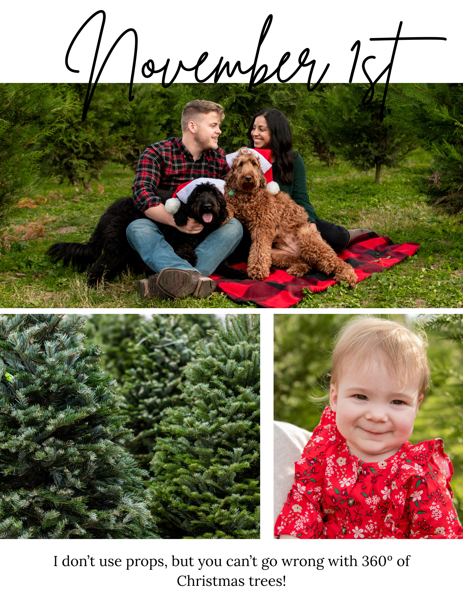 Holiday themed outdoor photo session with Christmas trees and red attire.