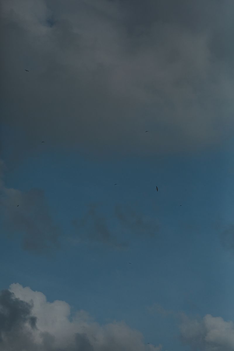Dark moody clouds gather in a dramatic blue sky over water at dusk.
