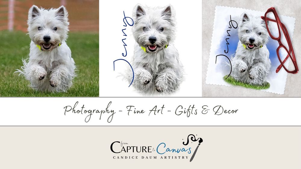 Three views of a cheerful West Highland White Terrier dog in artistic photo treatments showing movement and playful expression.