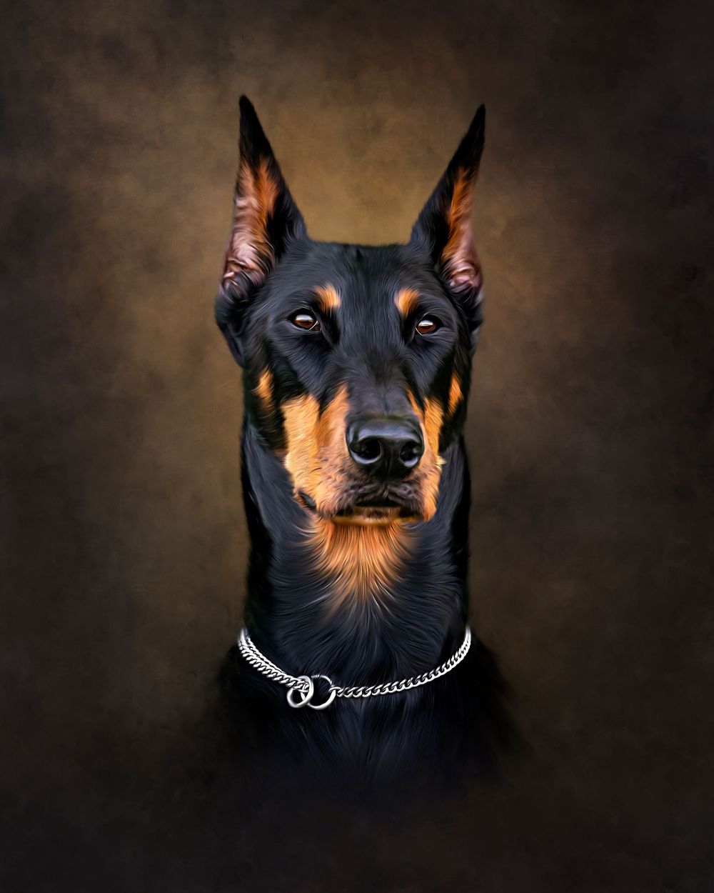 Stunning studio portrait of a black and tan Doberman Pinscher dog wearing a chain collar against a dark background.