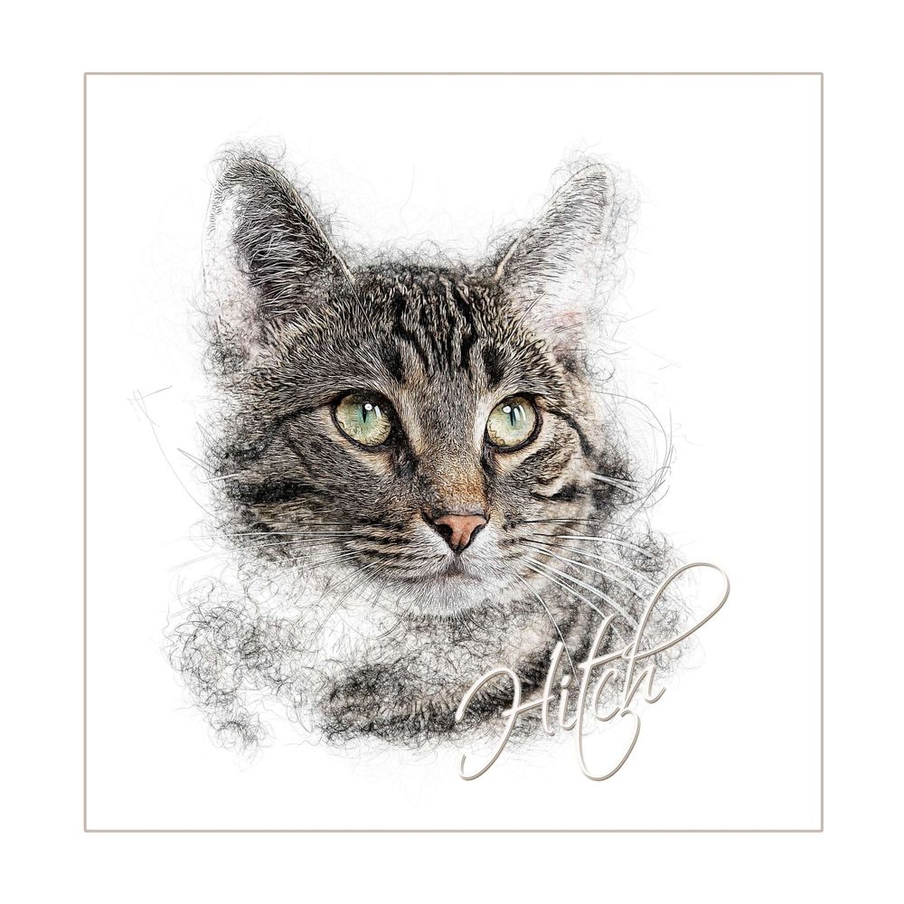 Close-up portrait of a tabby cat's face in pencil sketch style with striking green eyes.