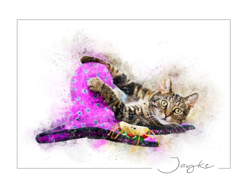 Watercolor painting of a tabby cat lounging with pink and purple accents.