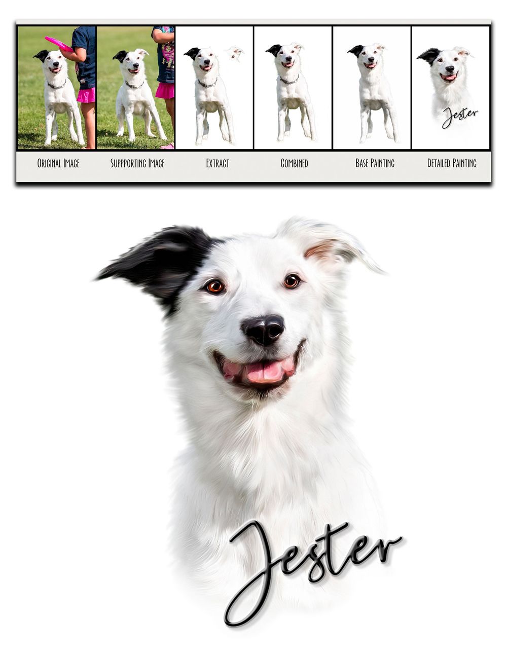 A happy white and black Border Collie named Jester smiling with a variety of playful portraits displayed above its head.