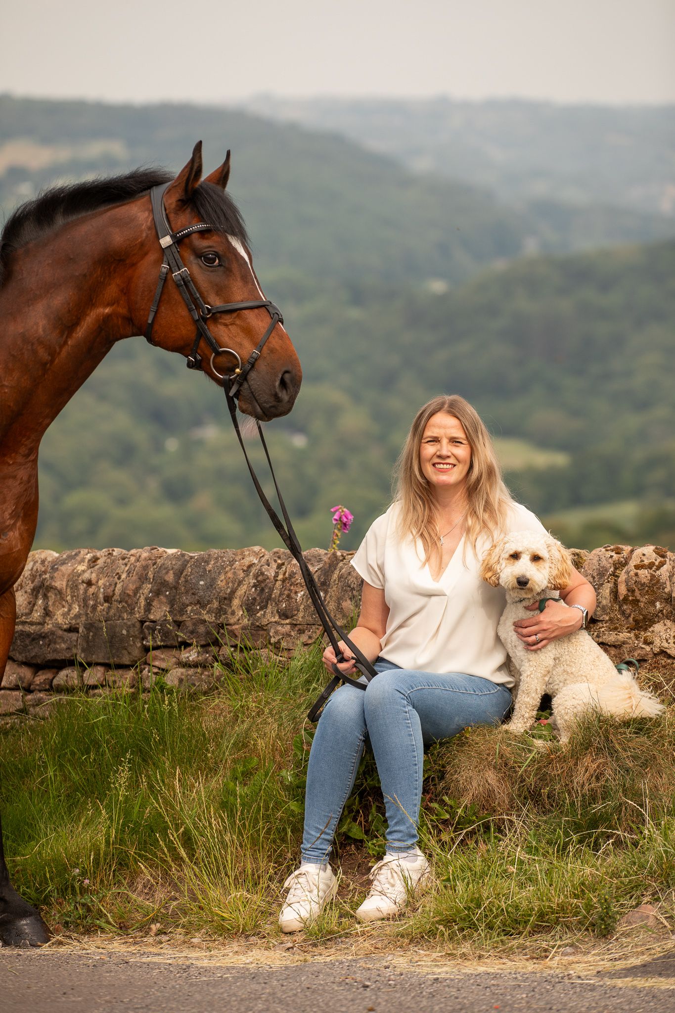 A brown horse and fluffy white dog pose with their companion on a stone wall overlooking rolling hills in the countryside.