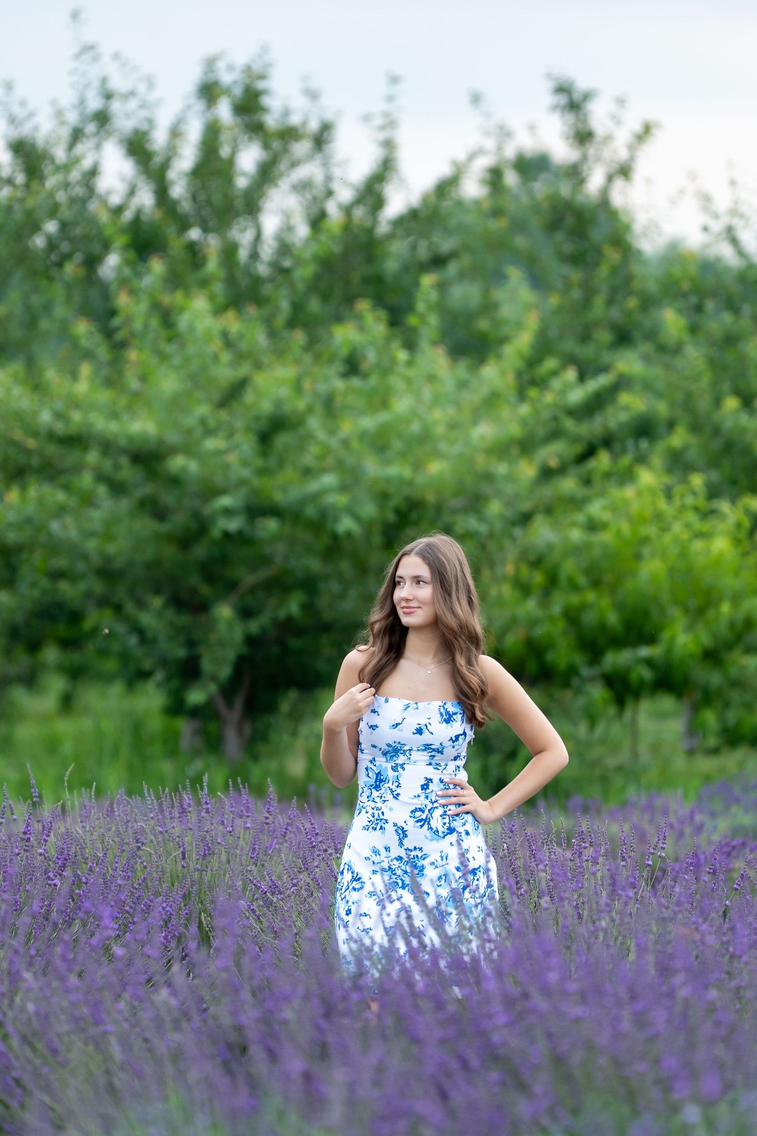 A person wearing a blue and white floral dress poses in a blooming lavender field on a summer day.