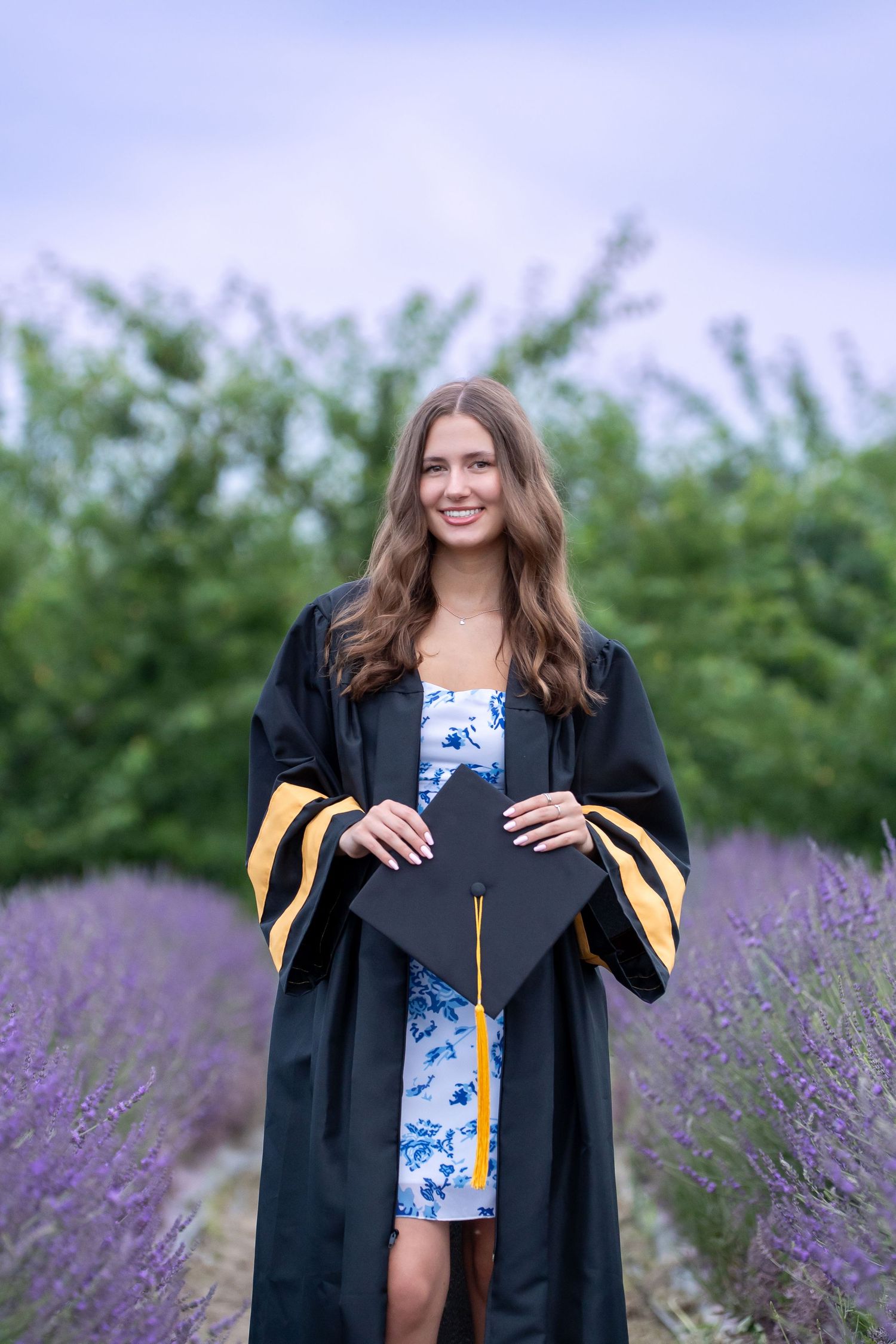 Graduate in a black academic gown and gold stole poses with joy in a blooming lavender field.