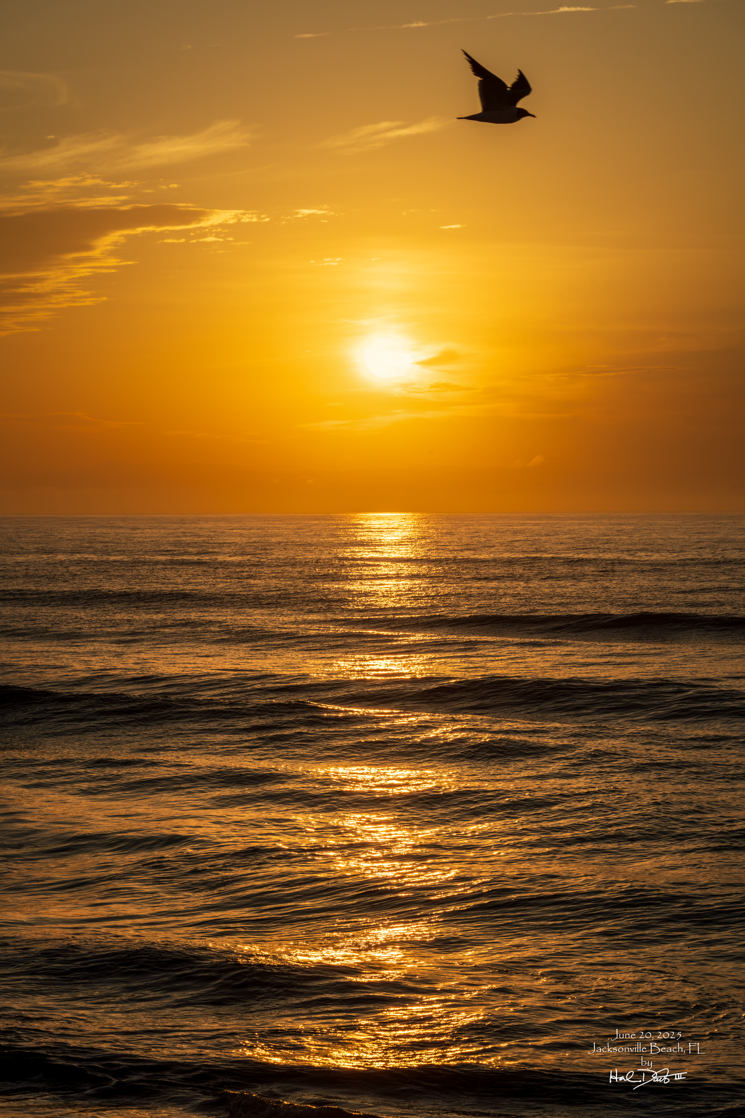 Golden sunsrise over ocean waves with seabird silhouette flying across dramatic orange sky creating stunning seascape.