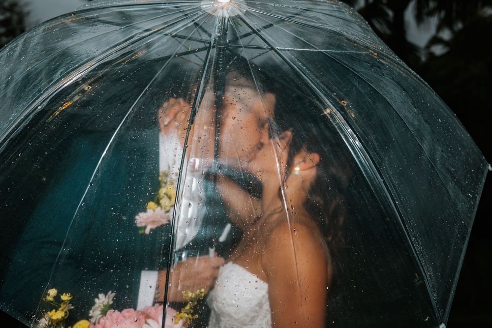 A transparent umbrella shields from rain as sunlight glows through the clear plastic surface.