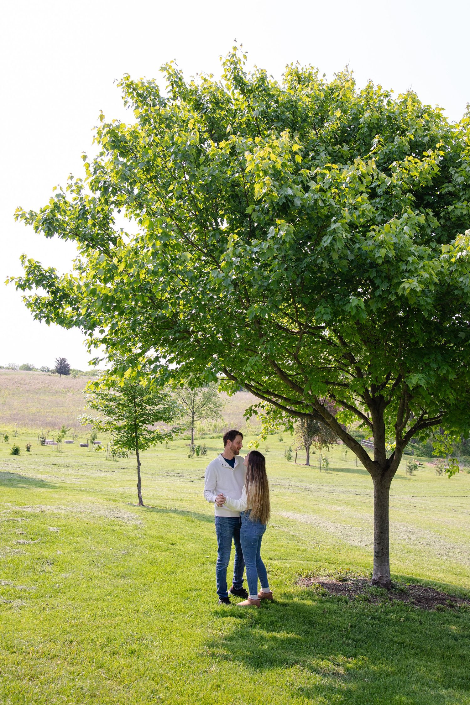 A couple strolls together on green grass under blooming trees on a sunny hillside.  Couples photo session. Engagement photo session