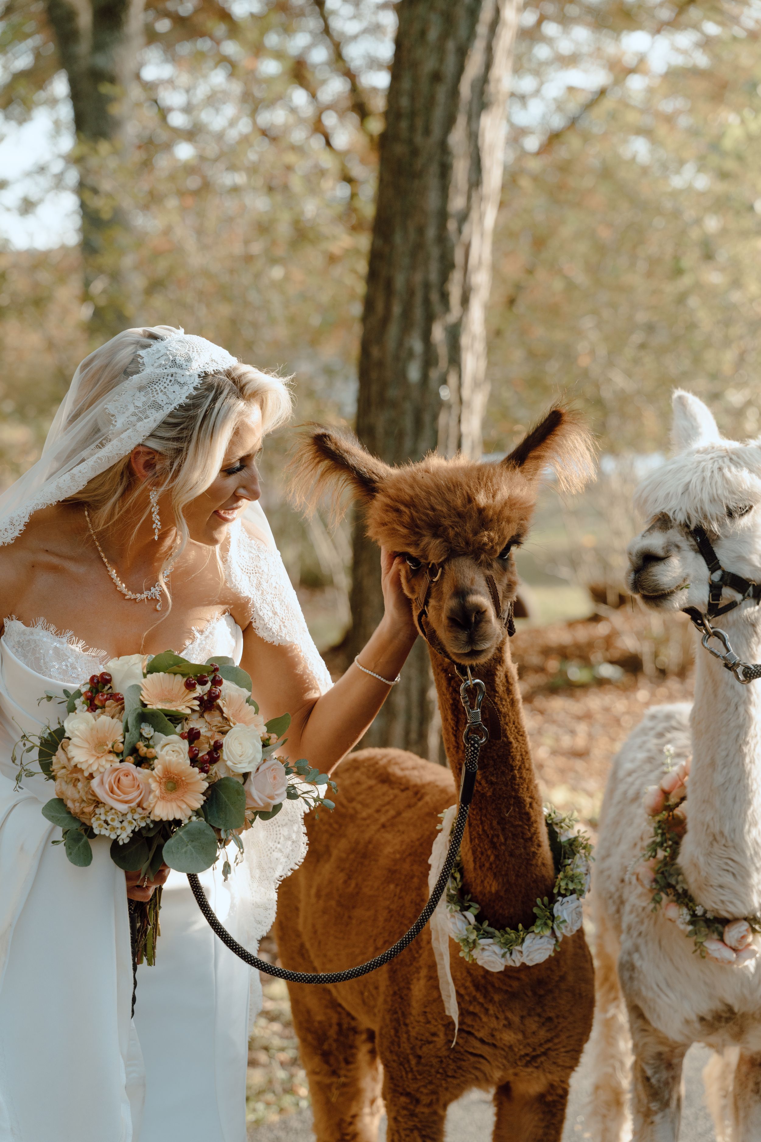 Candid documentary wedding photo showing genuine emotion and connection during a Virginia wedding celebration.