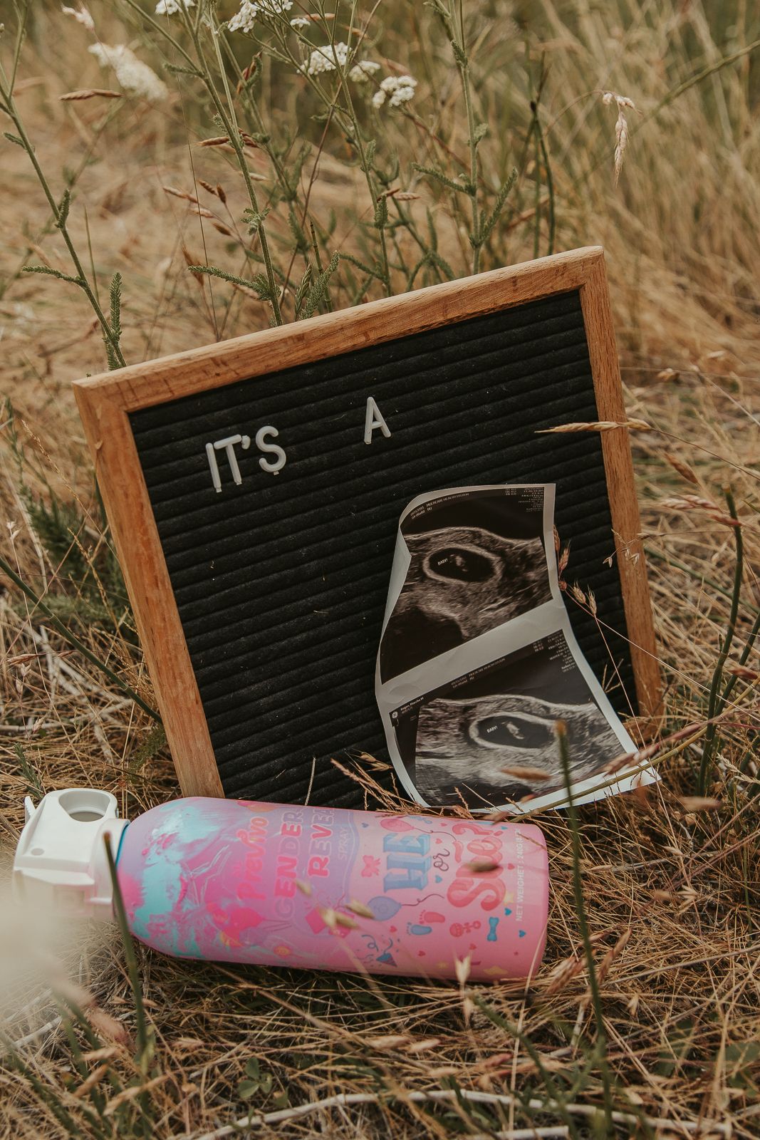 Celebrating gender reveal with pink powder smoke bombs in open field at outdoor photography venue in Spokane, Spokane family photographer