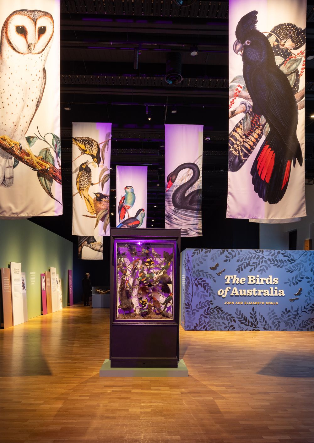 Australian Museum, The Birds of Australia exhibition 
Sydney Australia