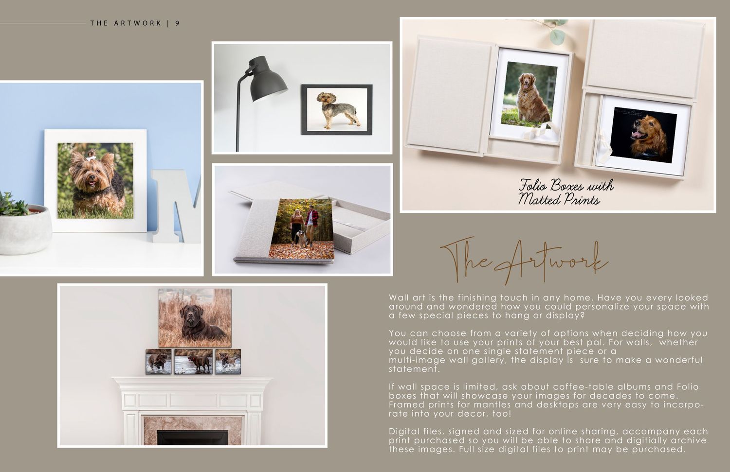 Display of framed pet photography prints mounted on walls and surfaces.