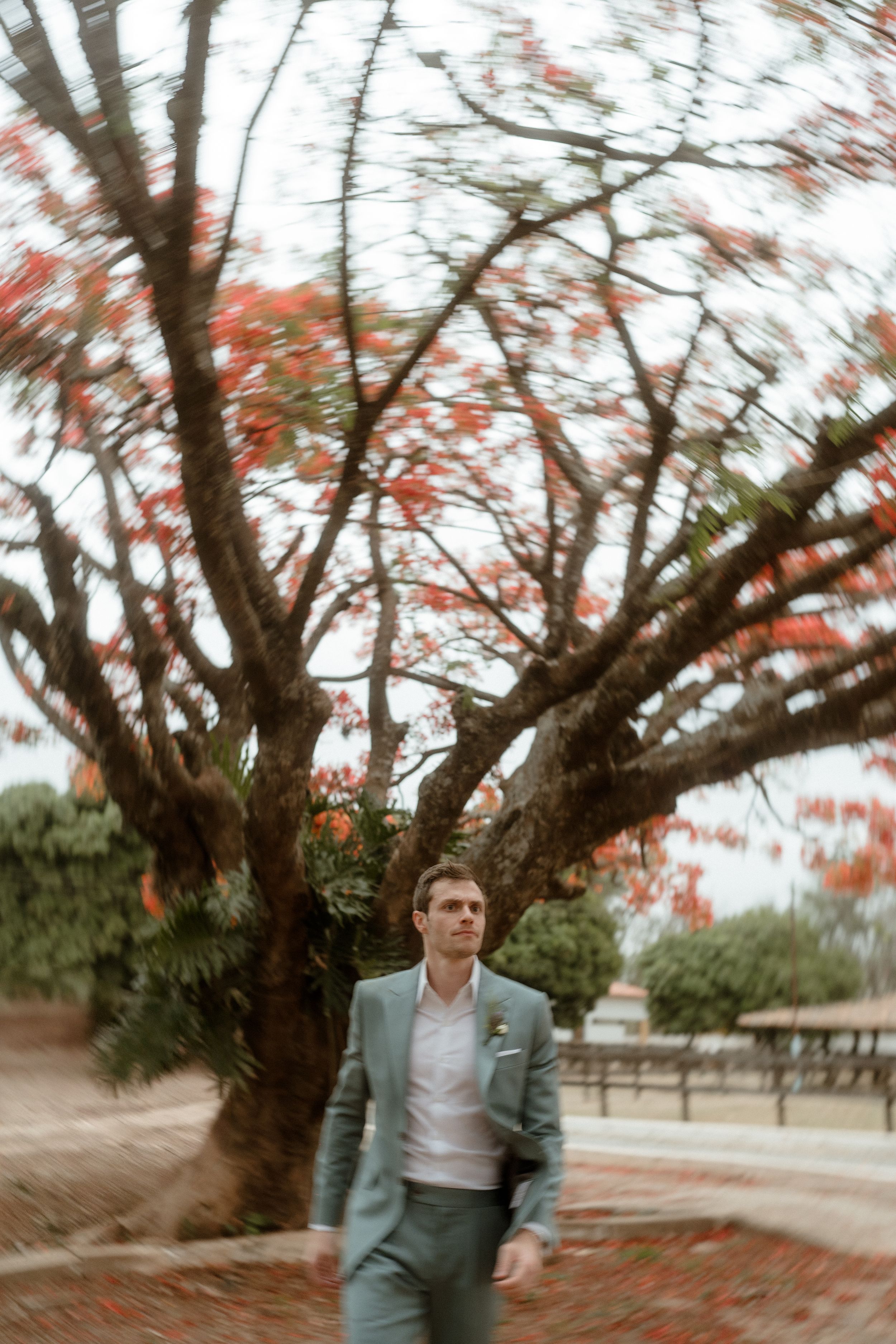 A portrait featuring a groom in a sage green suit beneath a red-leafed tree.