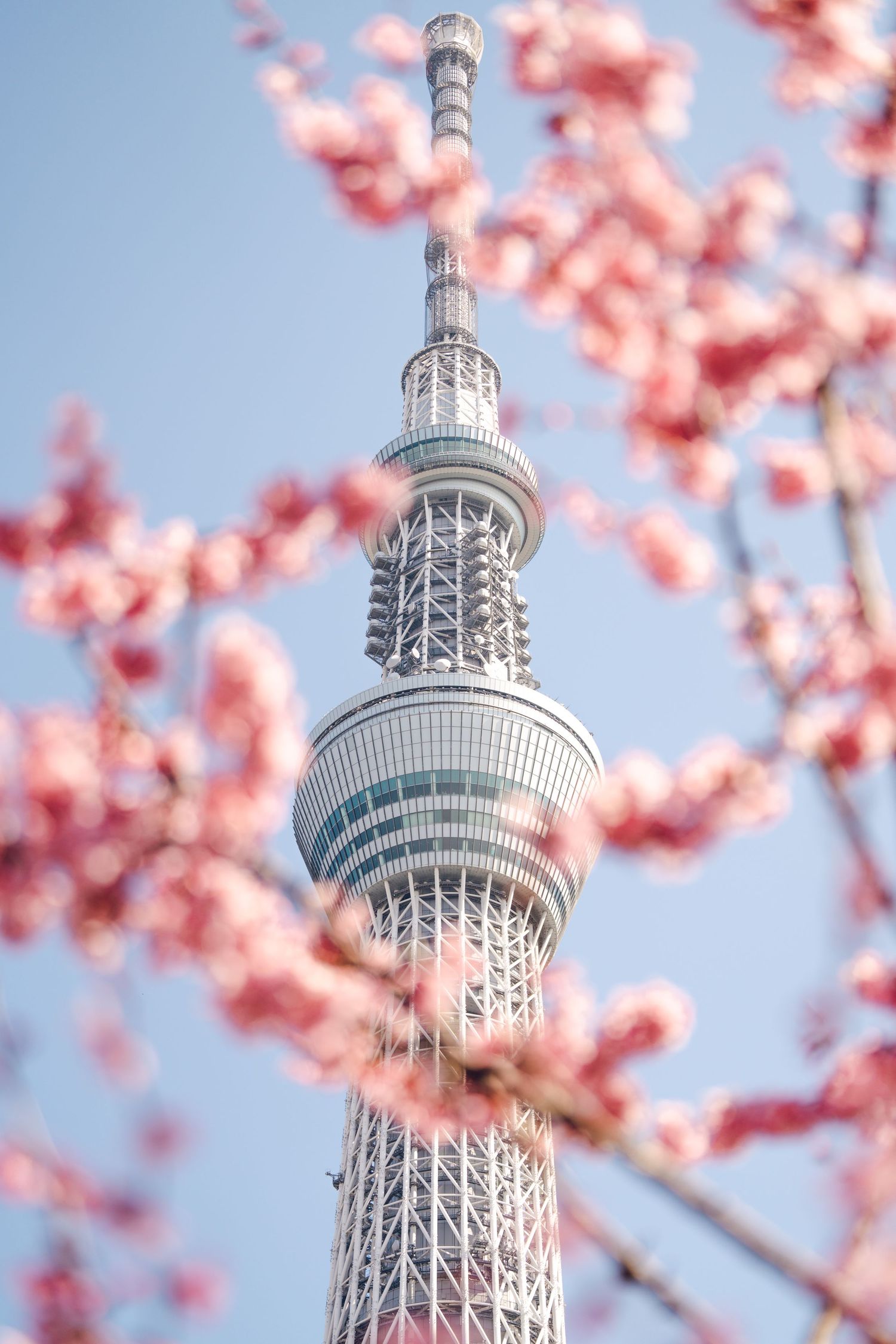 JAPAN TOKYO TOWER