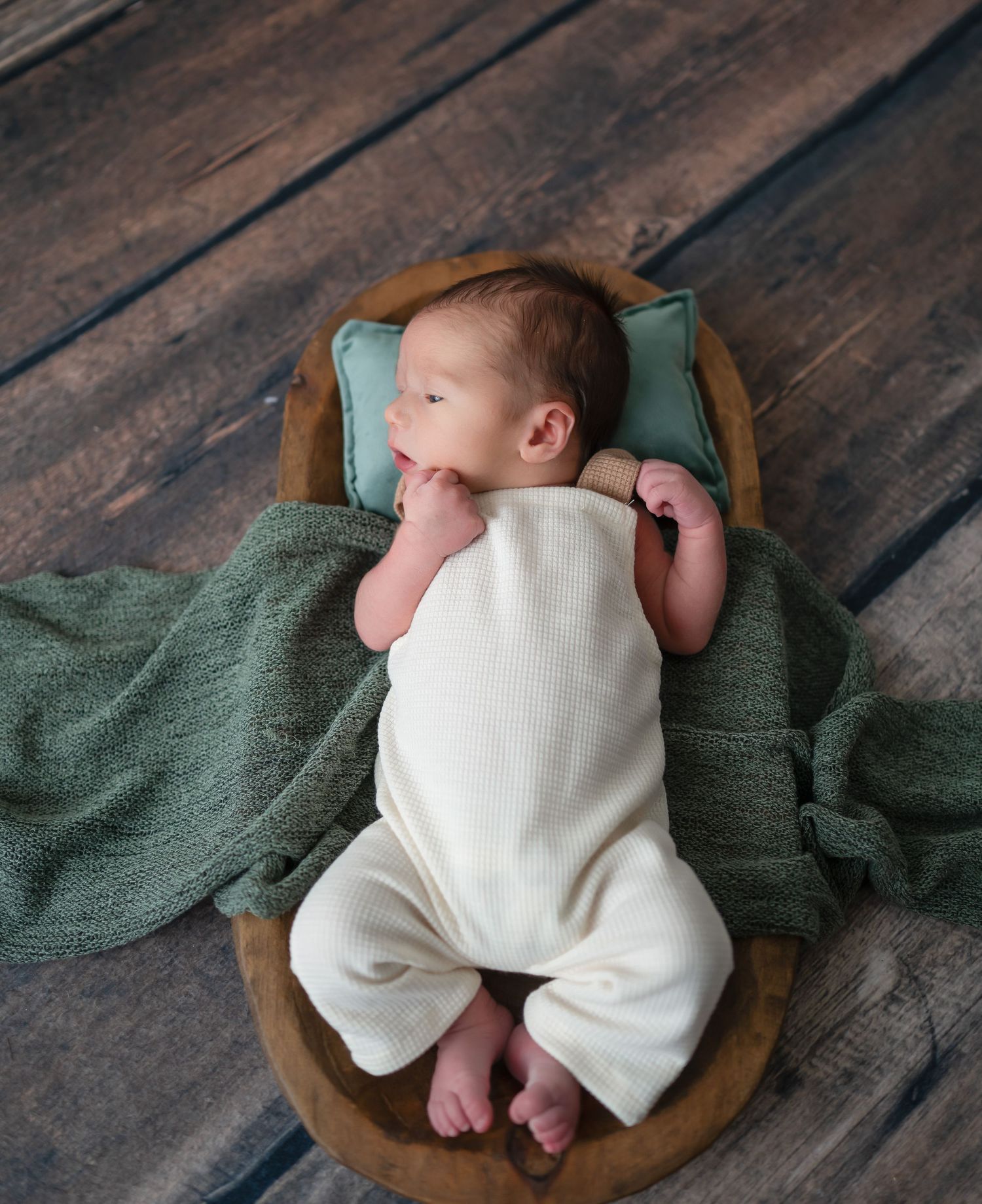 Springfield, IL Newborn photographer