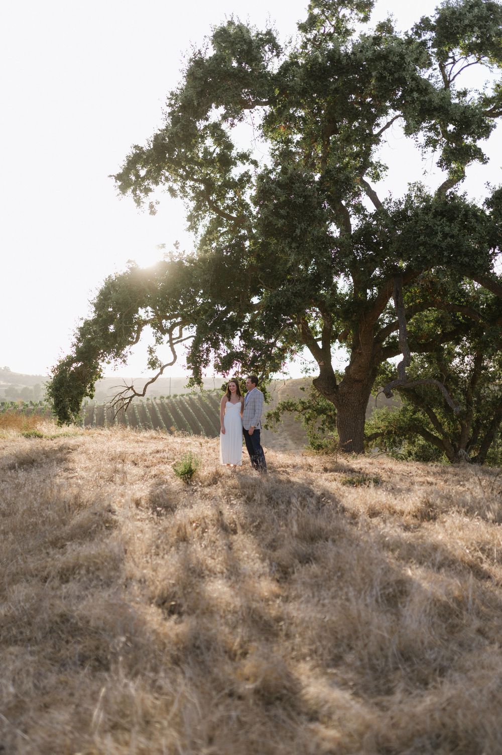 A pair stands beneath a majestic oak tree on a hilltop during sunset in wine country.