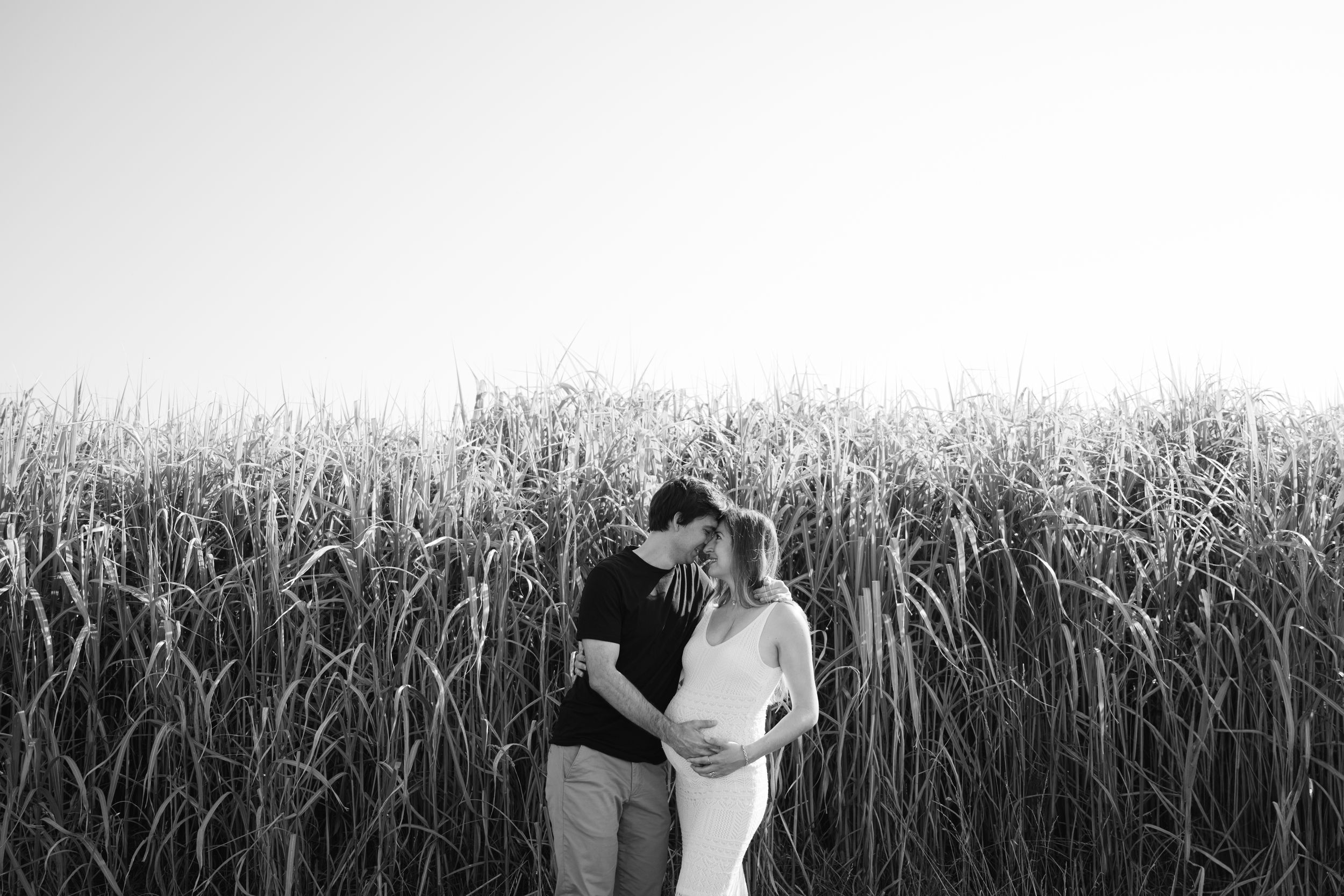 A couple in formal wedding attire embraces in a golden wheat field during sunset.