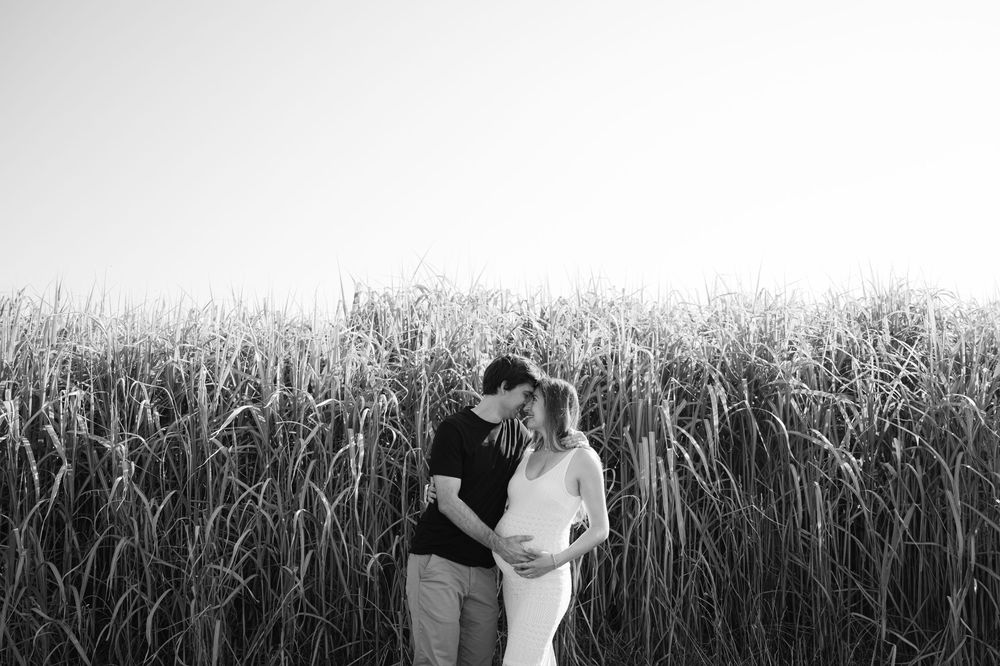 A couple in formal wedding attire embraces in a golden wheat field during sunset.