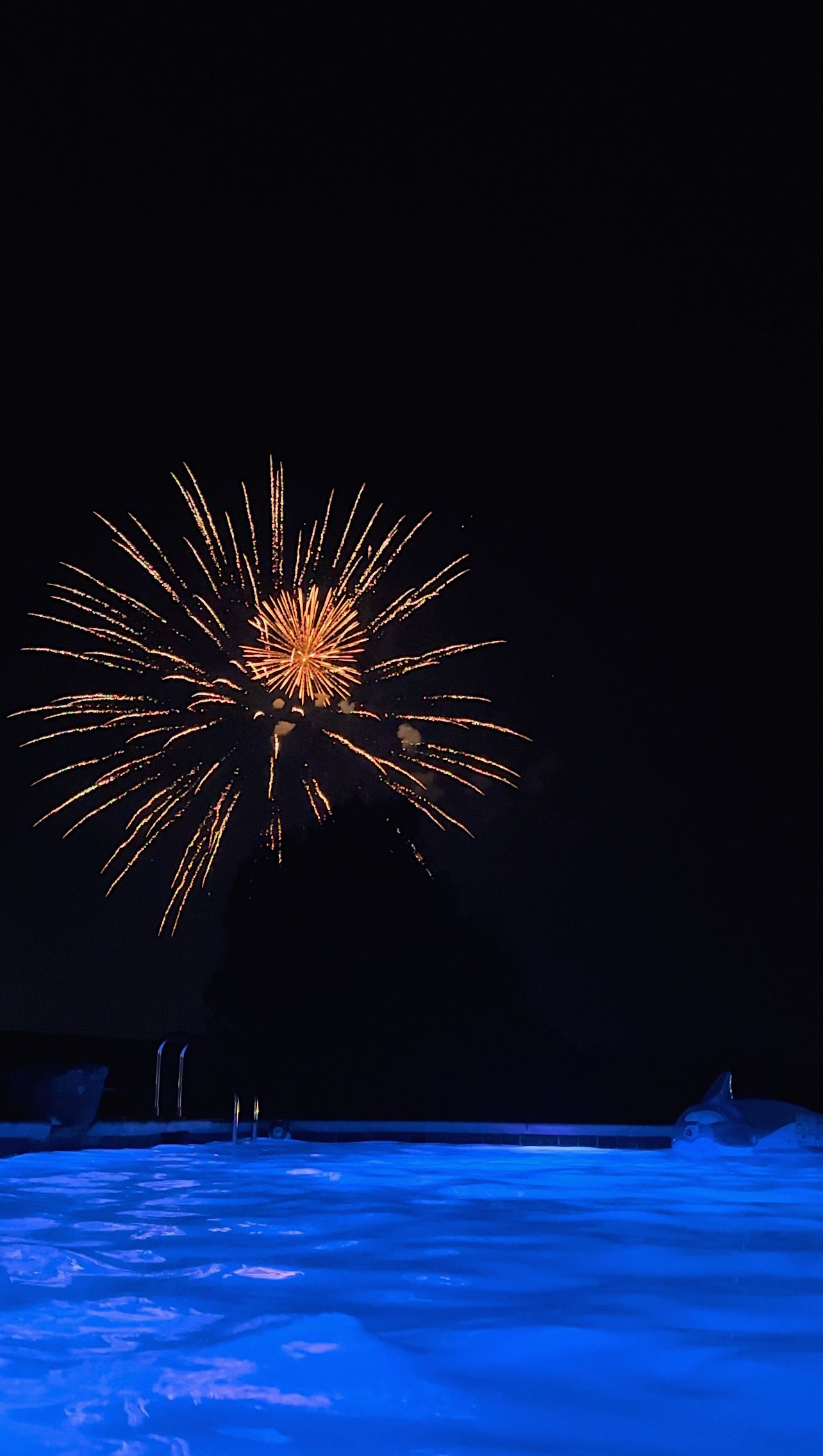 Dzanski Visuals Photo