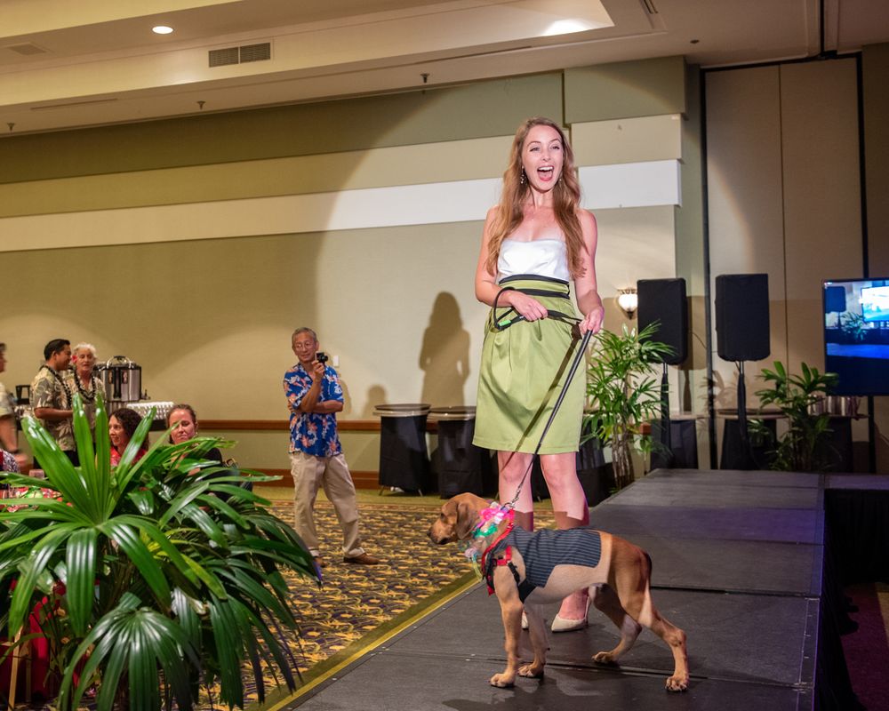 A dog performing tricks on stage with handler at an indoor event venue.