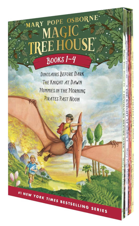 Magic Tree House series is a great chapter book to read aloud to elementary age kids.