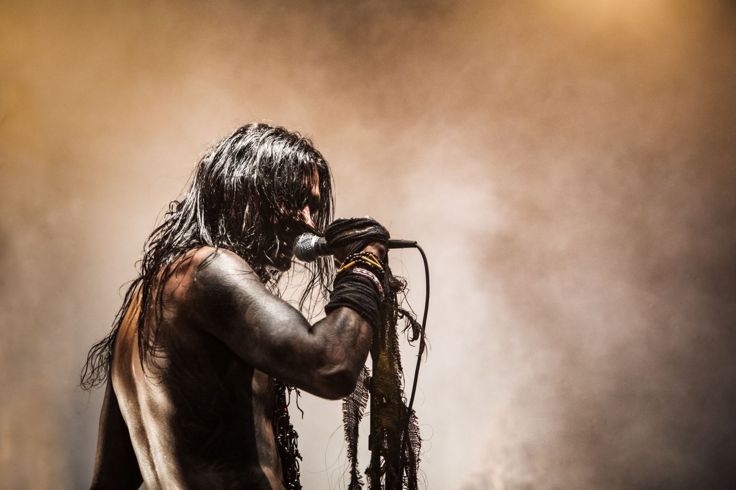A dramatic silhouette of a performer singing passionately against a smoky brown background.