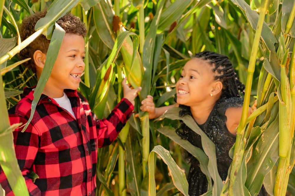 Two people share a joyful moment while posing in front of green corn stalks.