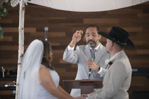 Wedding ceremony taking place under decorative birch poles with flowing white fabric.