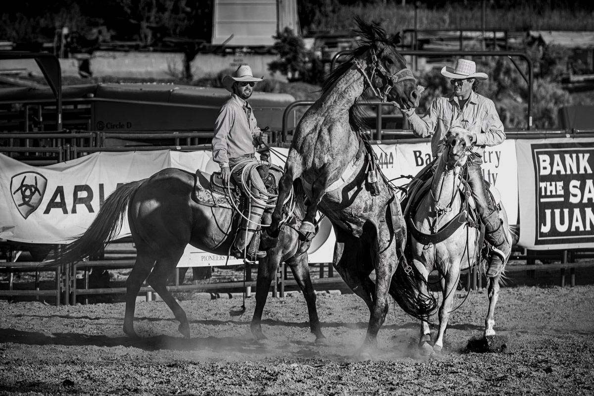 Monochrome image of cowboys riding horses at a rodeo arena with advertising banners visible in the background.