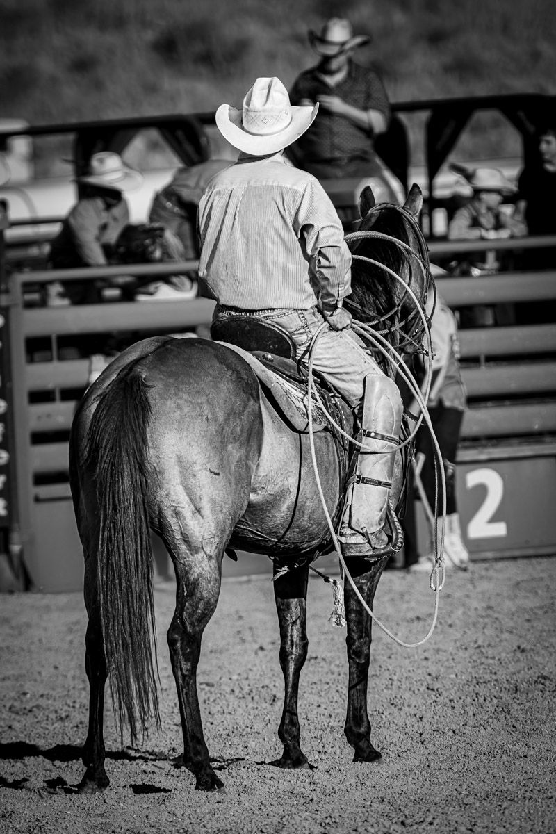A cowboy in a white hat sits atop a horse at a rodeo arena in black and white photography.