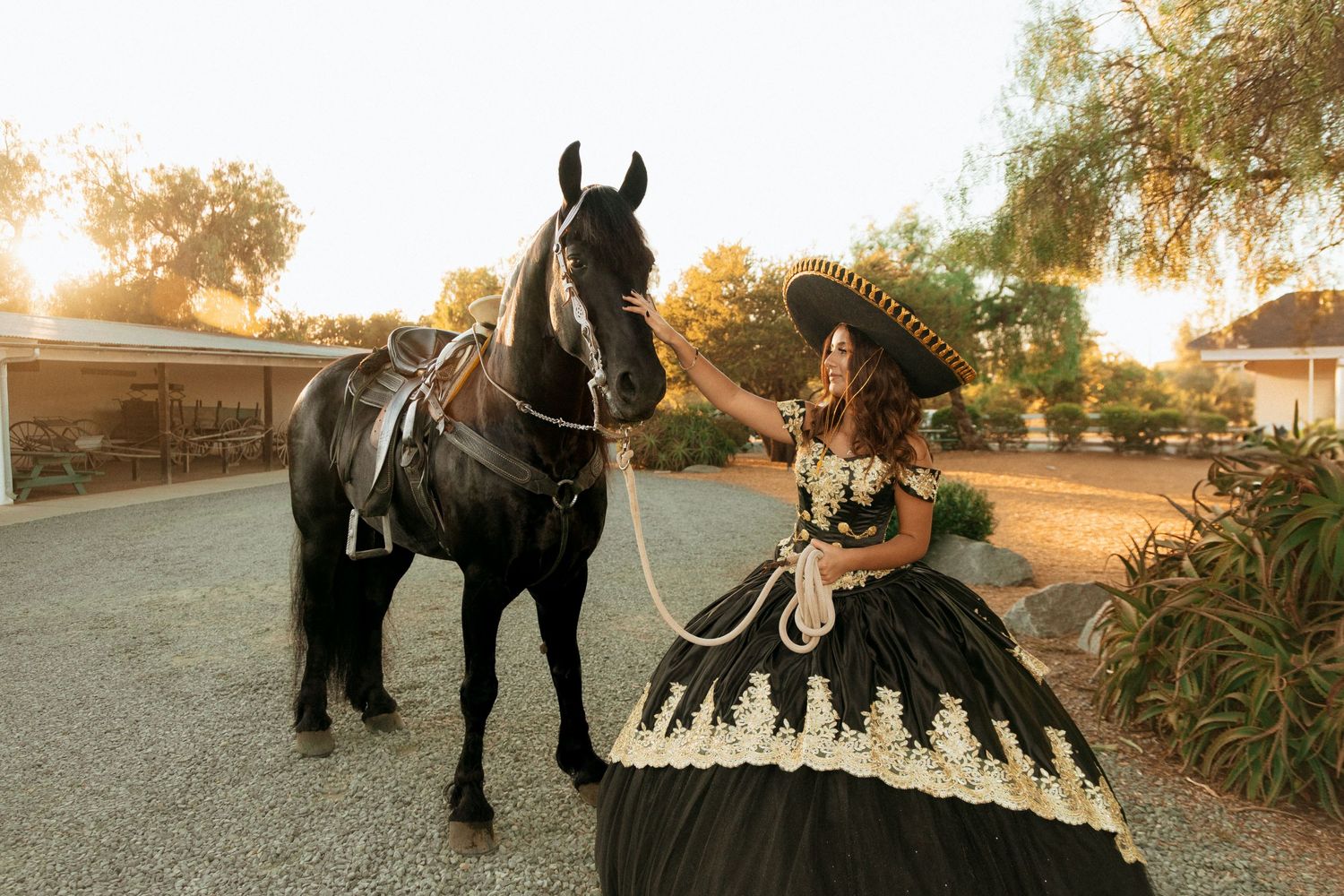 A black horse stands with a person wearing an elaborate Victorian-style dress at sunset in a garden setting.