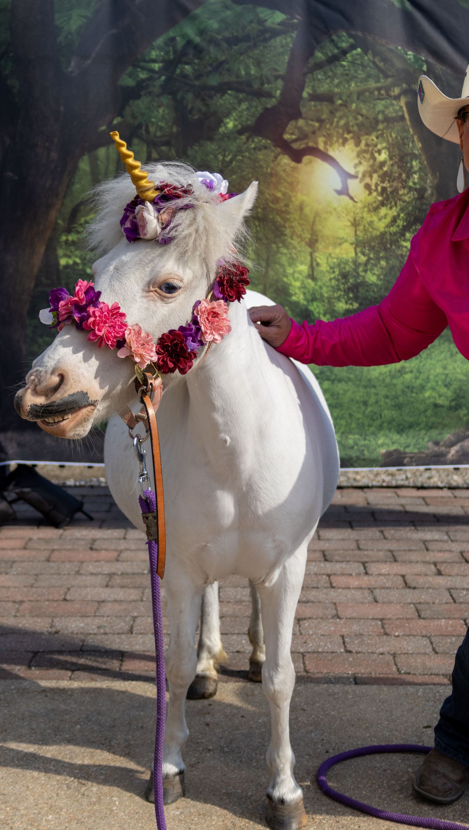 A white miniature horse dressed as a unicorn with a gold horn, floral crown, and flower collar, held by a person in pink.