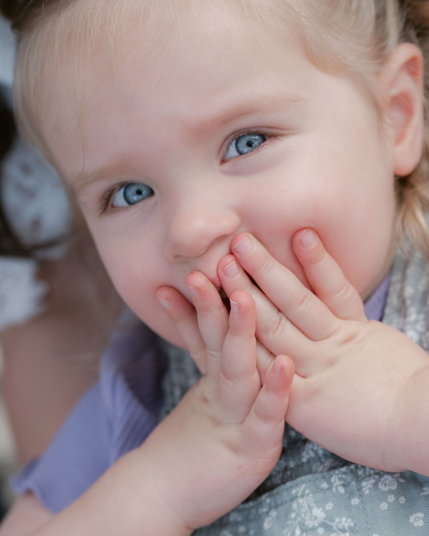 Close-up portrait of a young toddler girl with bright blue eyes giggling and covering her mouth with her hands during a spring family photo